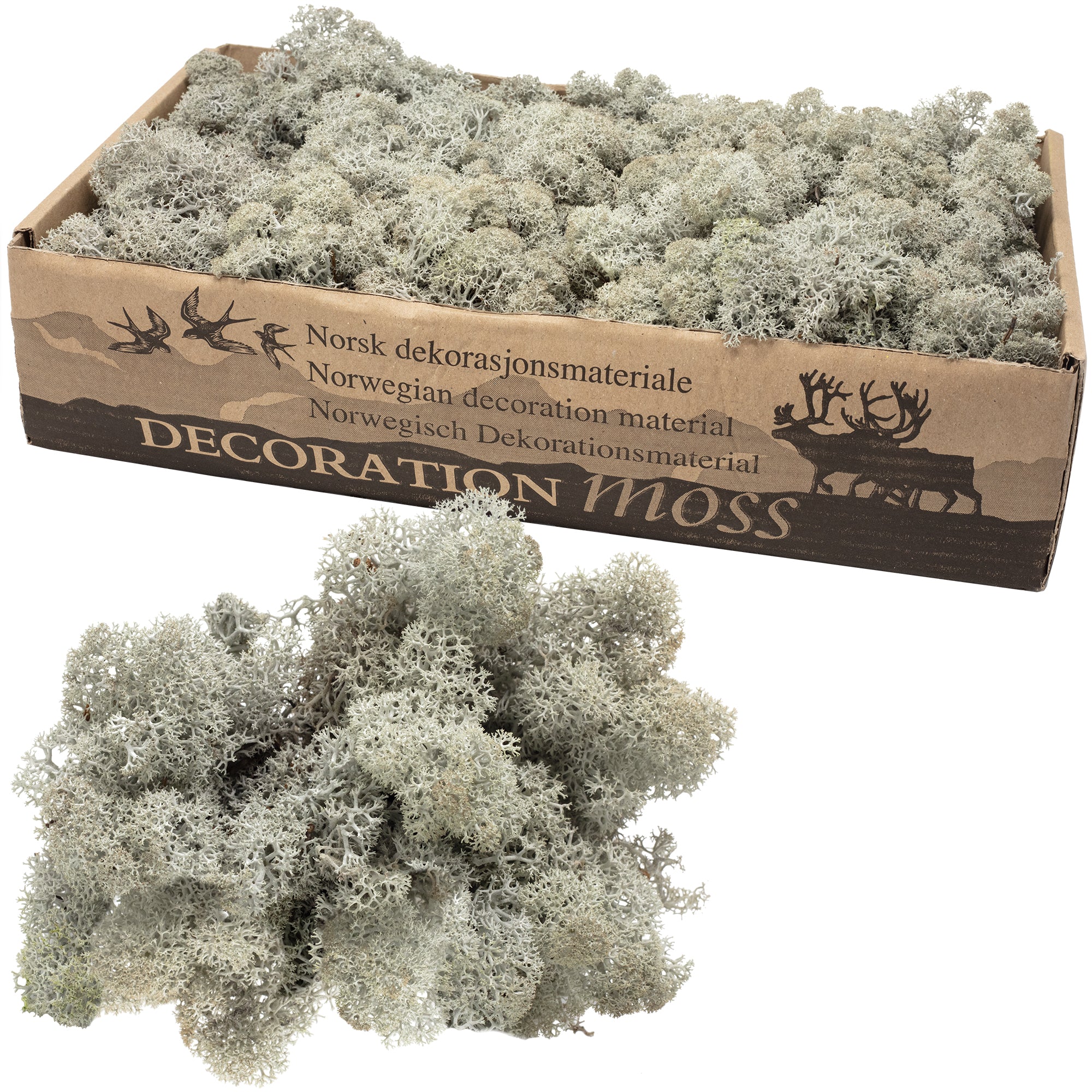 Karton Islandmoos Grau- 500g
