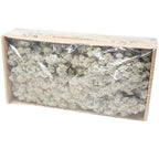 Karton Islandmoos Grau- 500g