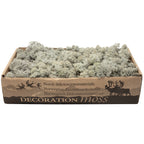 Cardboard Island Moss Grey - 500g