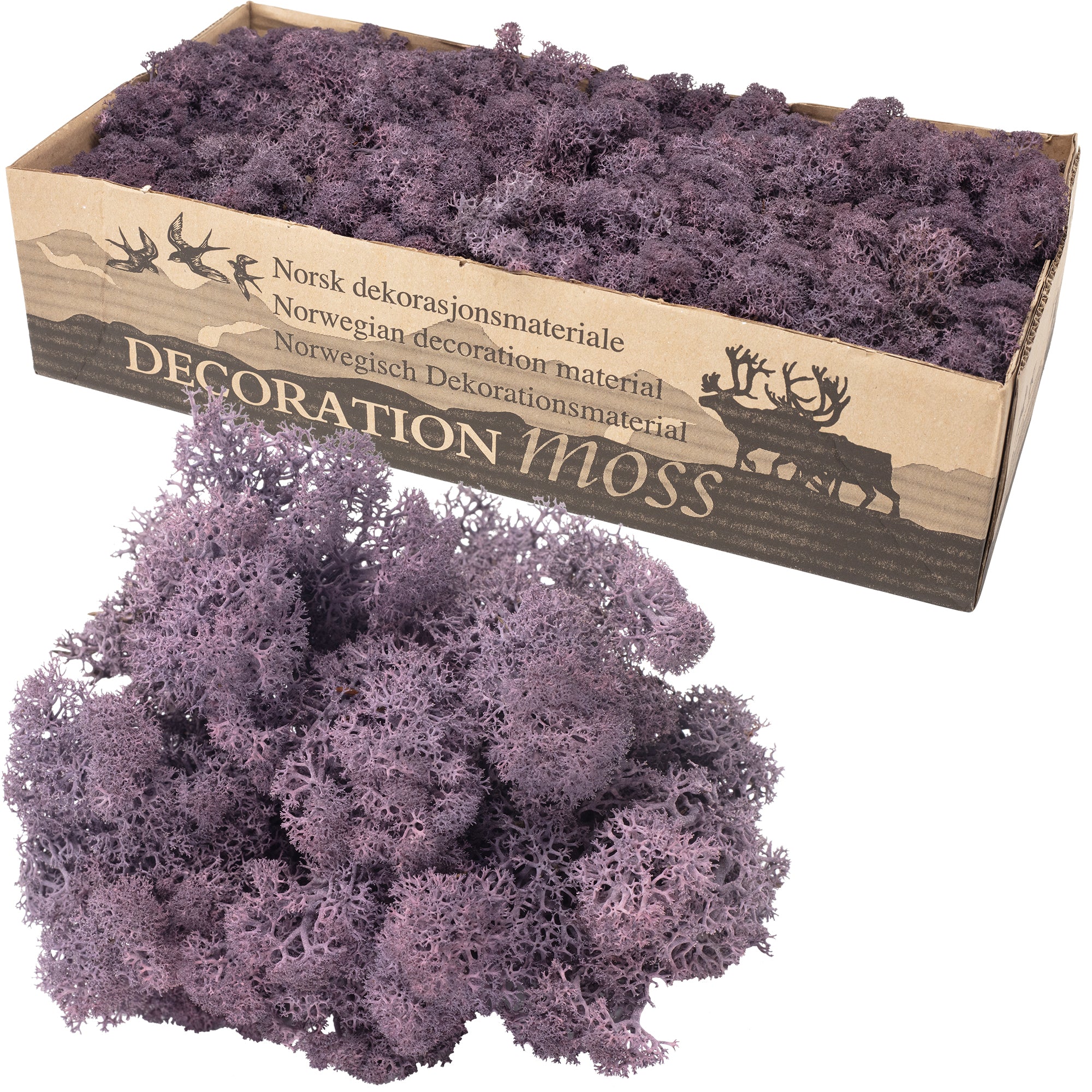 Karton Islandmoos Aubergine - 500g