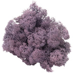 Karton Islandmoos Aubergine - 500g
