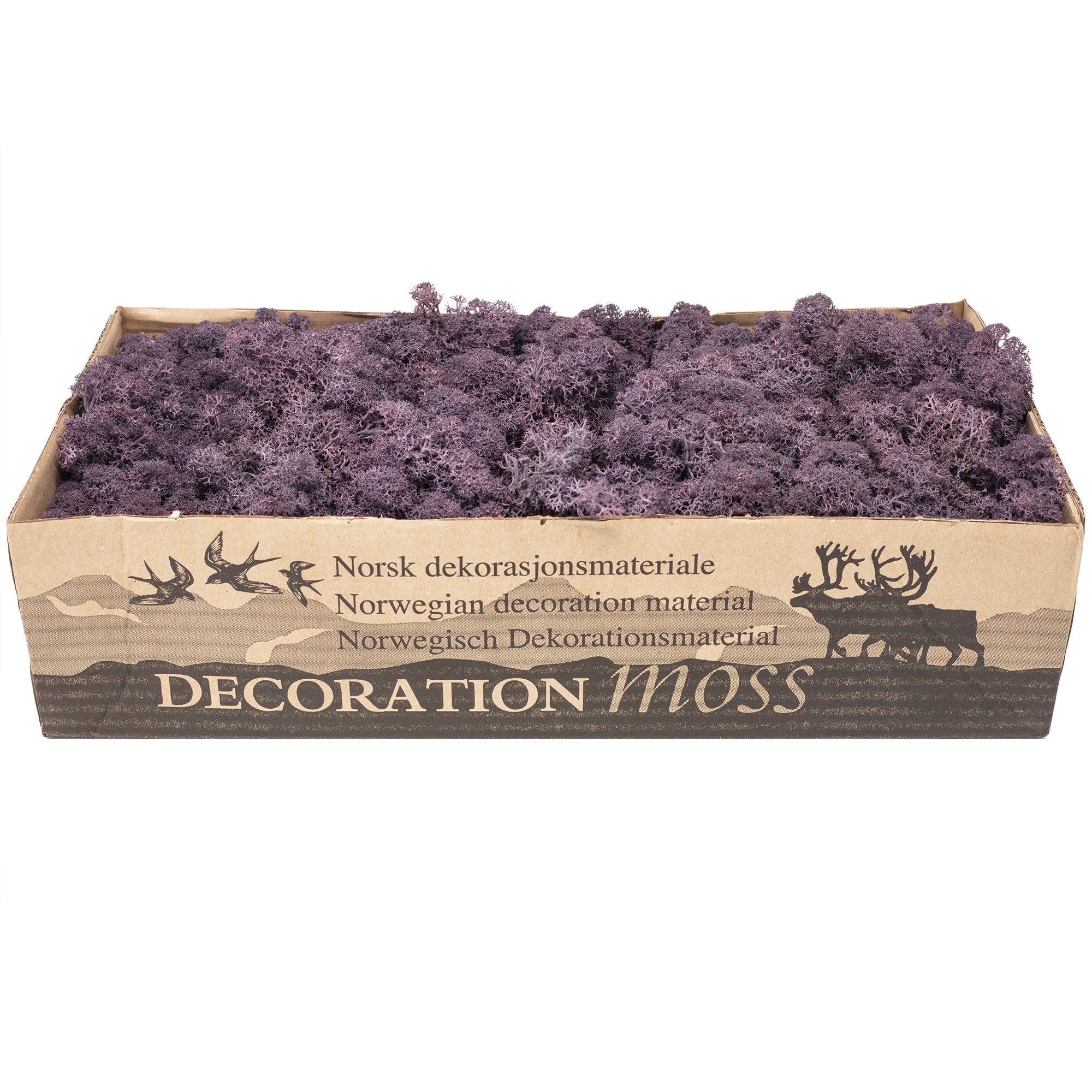 Aubergine mousse de Cardboard Island - 500 g