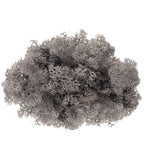 Karton Islandmoos Anthrazit - 500g