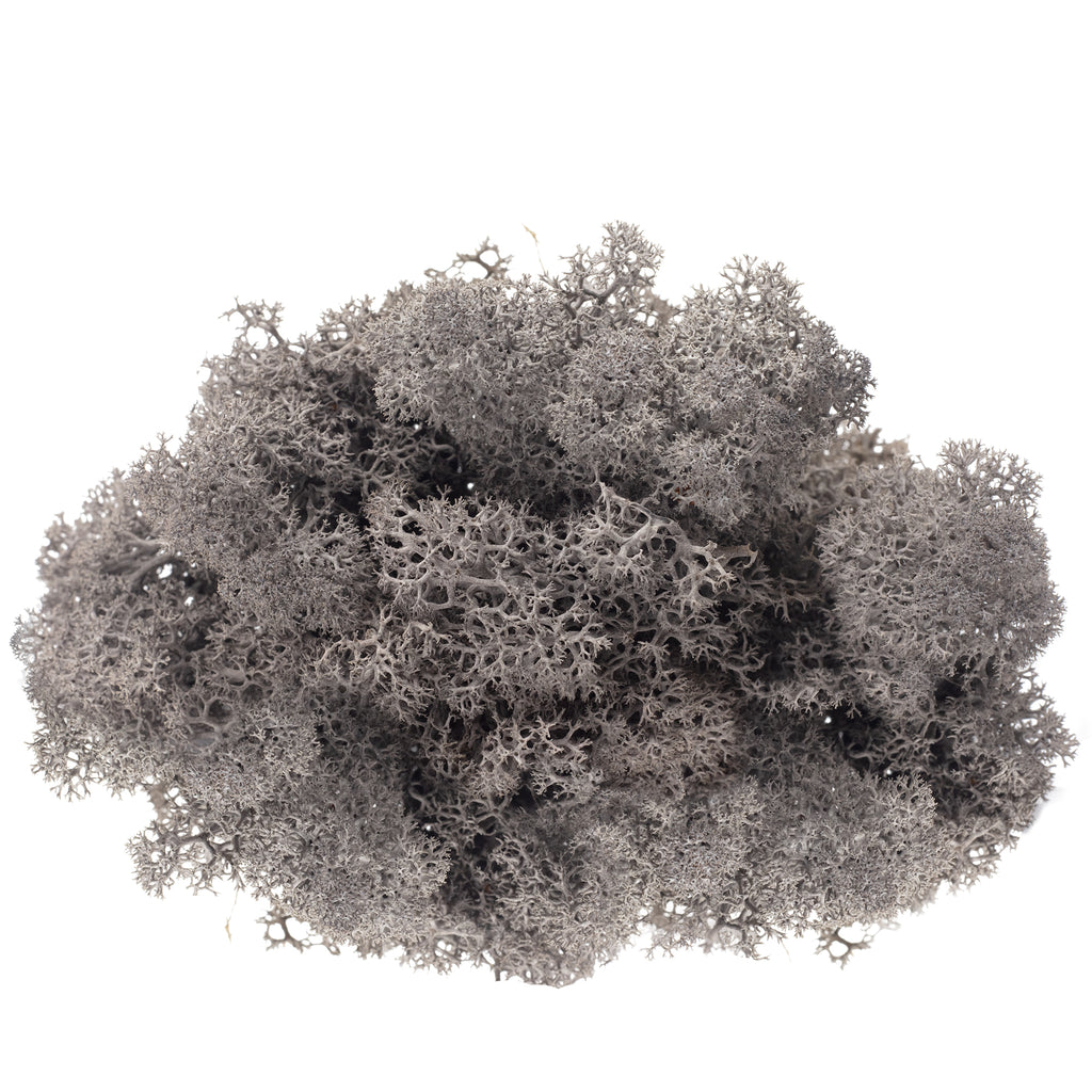 Mousse anthracite Cardboard Island - 500 g