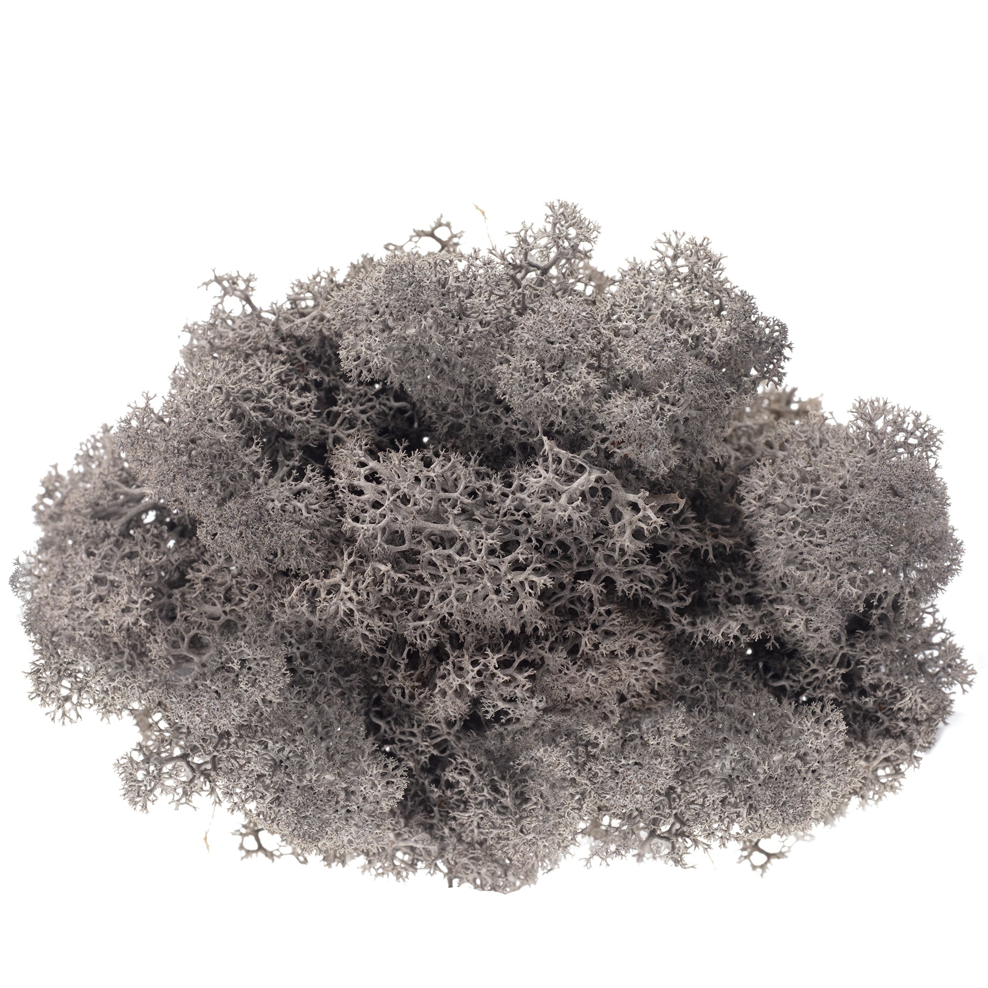 Mousse anthracite Cardboard Island - 500 g