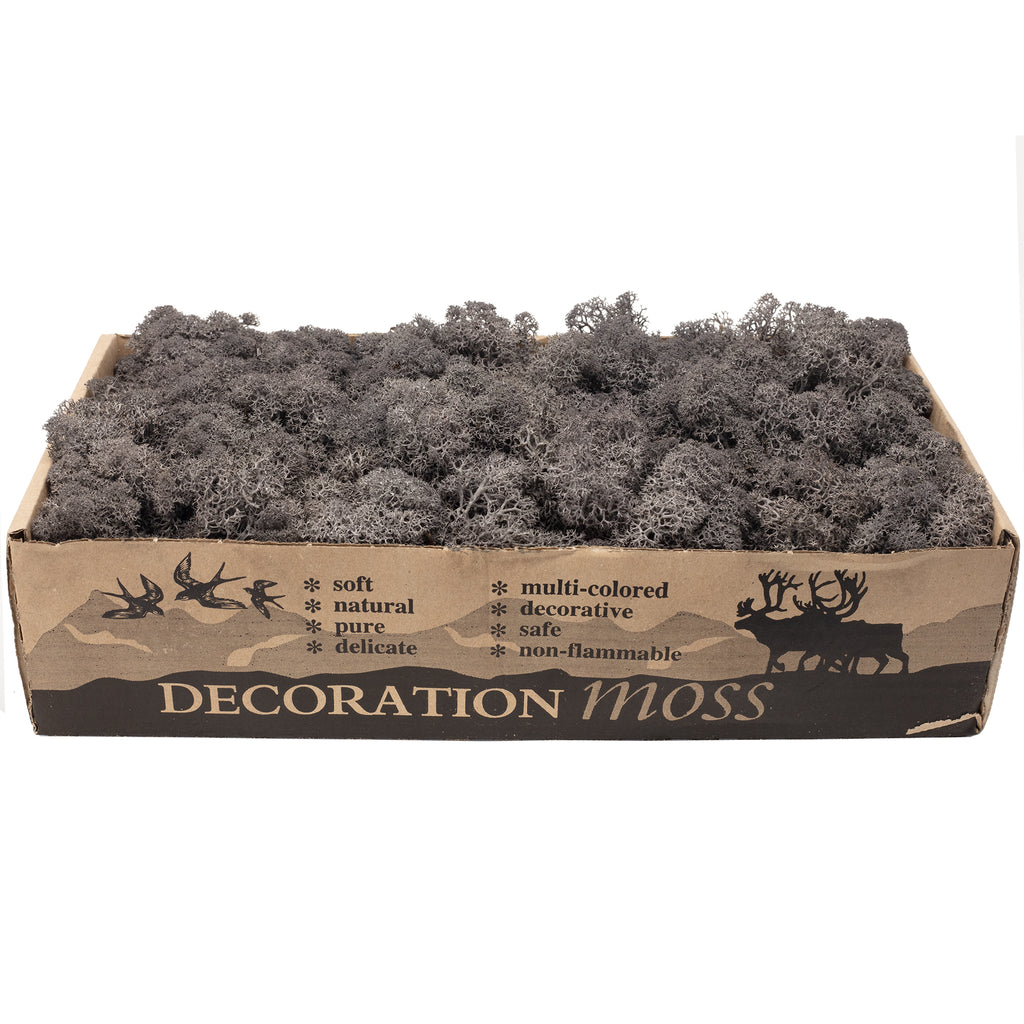 Mousse anthracite Cardboard Island - 500 g