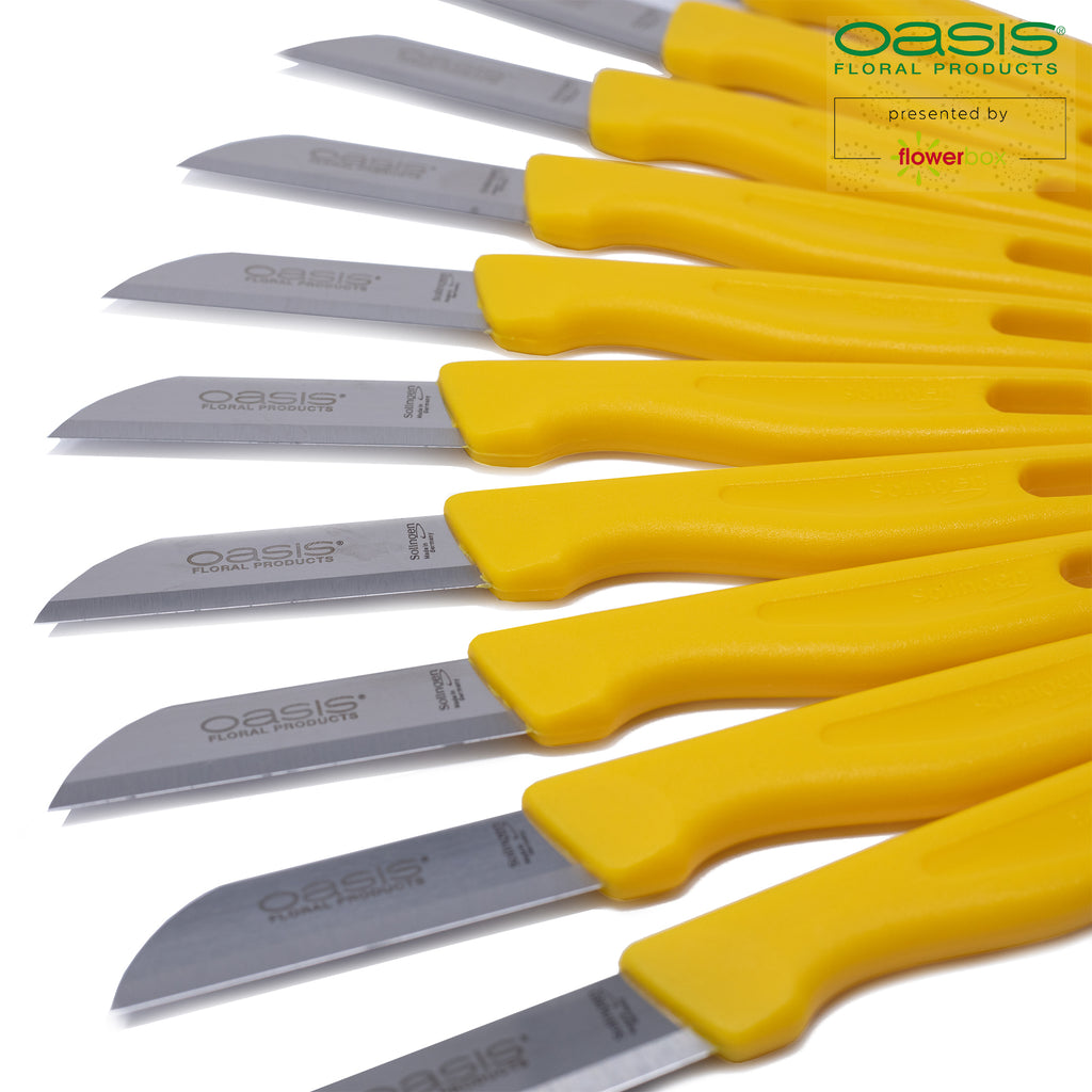 OASIS® Floristenmesser - Klinge 60 mm - Solinger-Stahl - 10 Stk