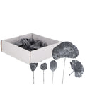 Exotic plant assortment mini on wire - 50 pieces - frost-grey