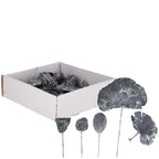 Exotic plant assortment mini on wire - 50 pieces - frost-grey