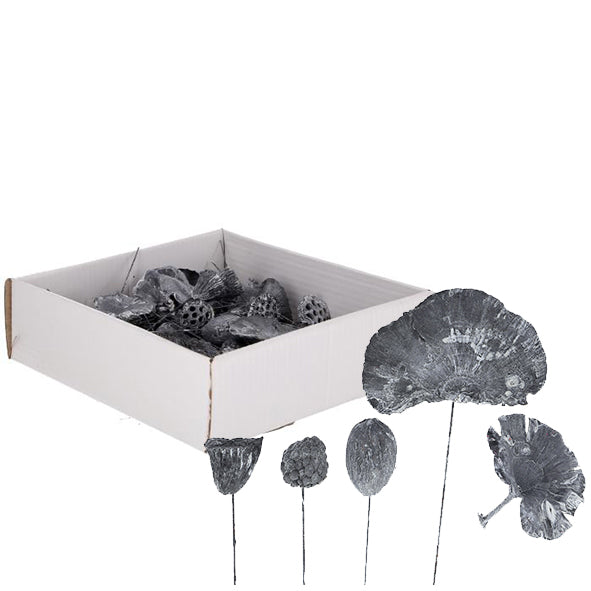 Exotic plant assortment mini on wire - 50 pieces - frost-grey