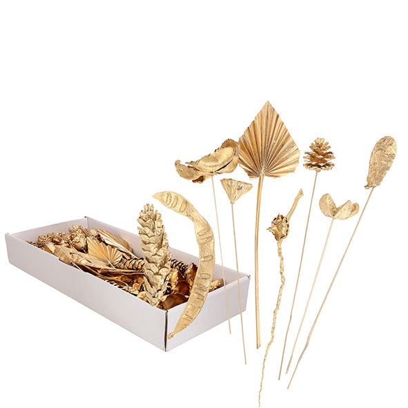 Exotic assortment from India - 100 pieces - gold