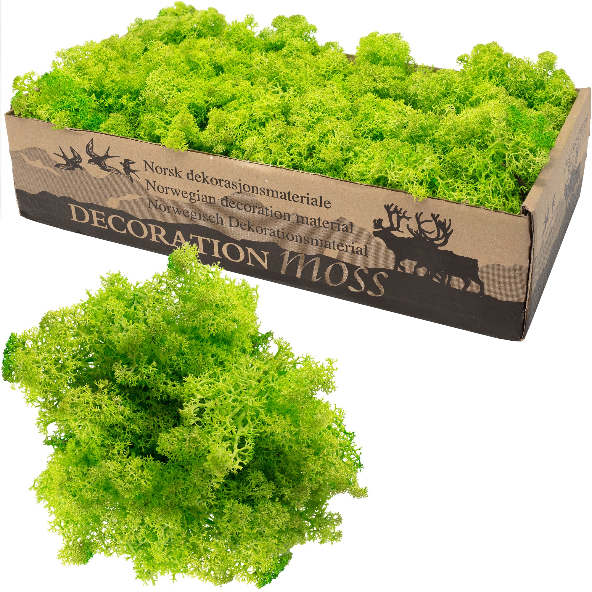 Karton Islandmoos Helles Grasgrün - 500g