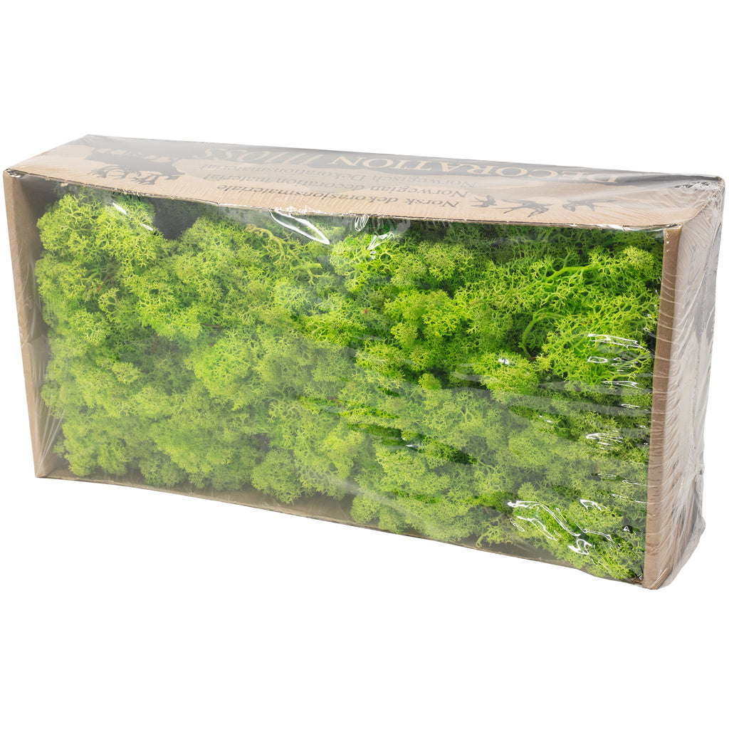 Cardboard Iceland moss, light grass green - 500g