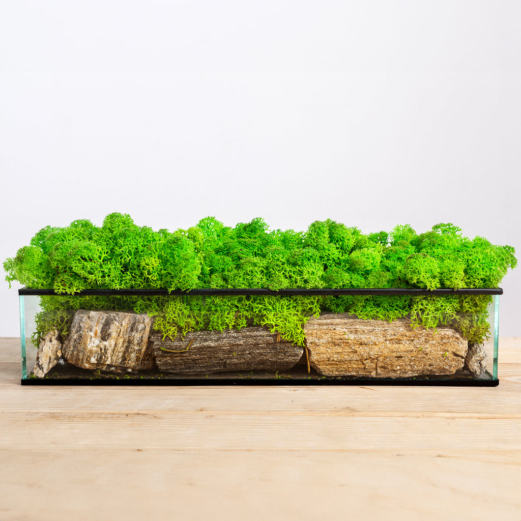 Karton Islandmoos Mintgrün - 500g