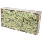 Karton Islandmoos Mintgrün - 500g