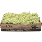 Karton Islandmoos Mintgrün - 500g