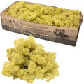 Cardboard Iceland moss, old green - 500g