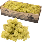 Cardboard Iceland moss, old green - 500g