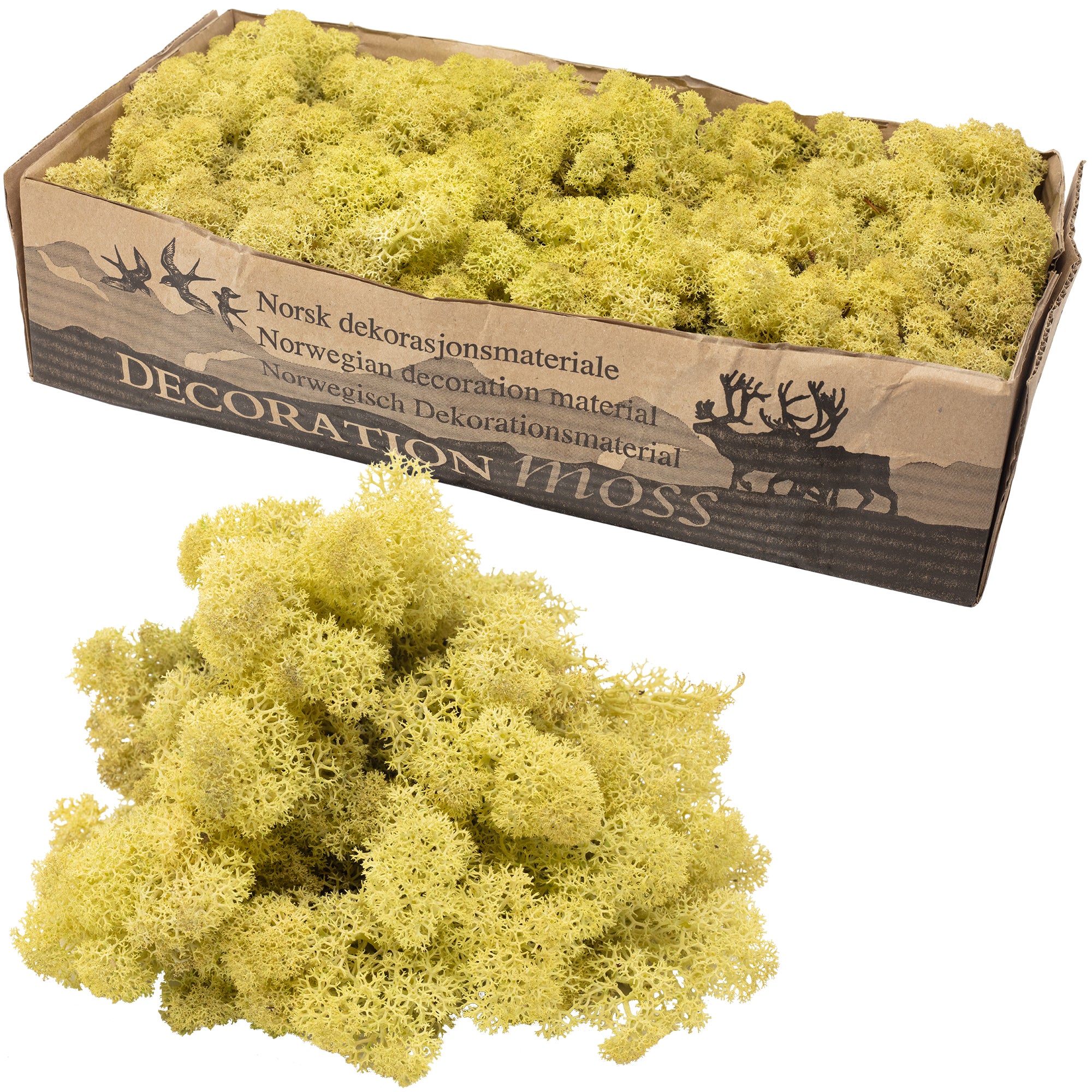 Cardboard Iceland moss, old green - 500g
