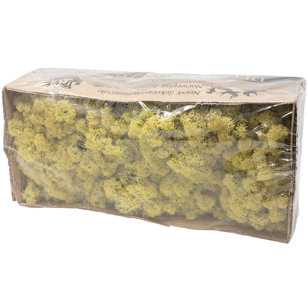 Cardboard Iceland moss, old green - 500g