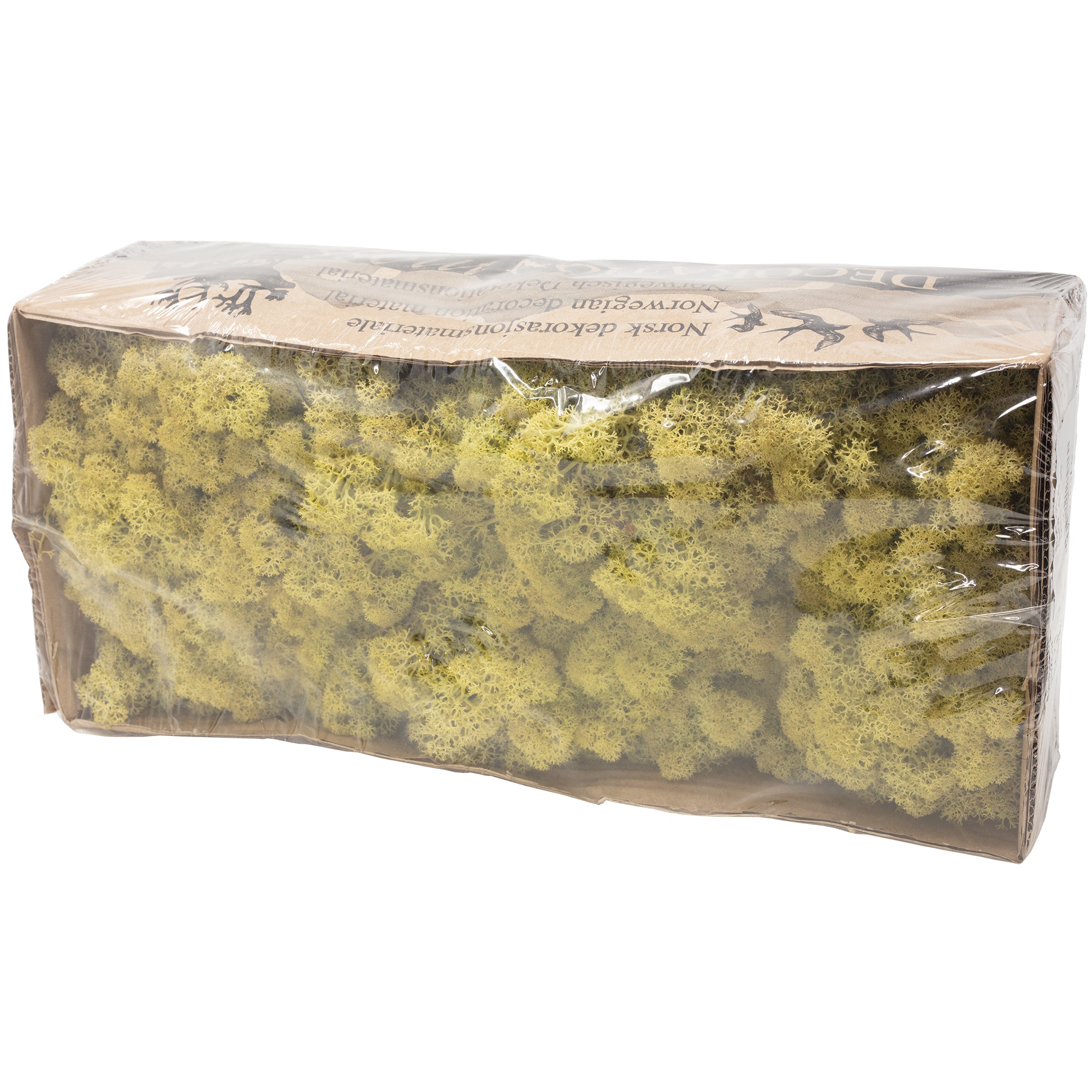 Cardboard Iceland moss, old green - 500g