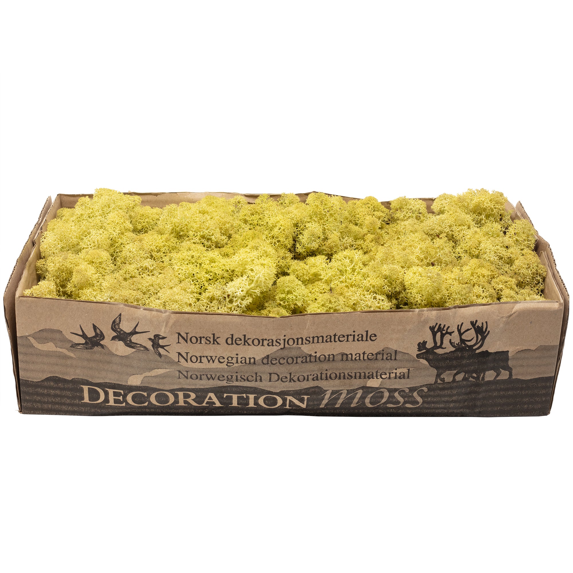 Cardboard Iceland moss, old green - 500g