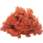 Cardboard Island Moss Siena Red - 500g