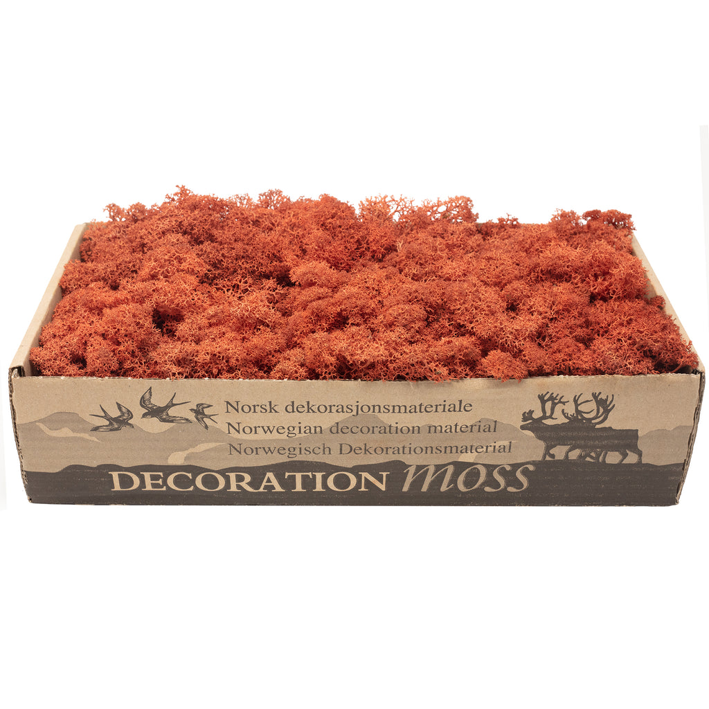 Cardboard Island Moss Siena Red - 500g