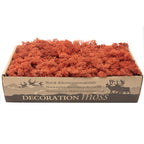 Cardboard Island Moss Siena Red - 500g