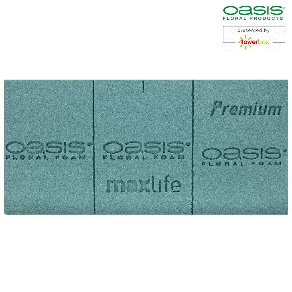 3x Original OASIS® Premium Steckschaum für längere Haltbarkeit bei Frischblumen - Steckmasse Blumen - Nasssteckschaum Hochzeit Geburtstag Kirche Ziegelform