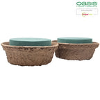 OASIS® BIOLIT® Schale - 11 x 26 cm Ø - 2 Stück