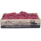 Karton Islandmoos Bordeaux-Rot - 500g