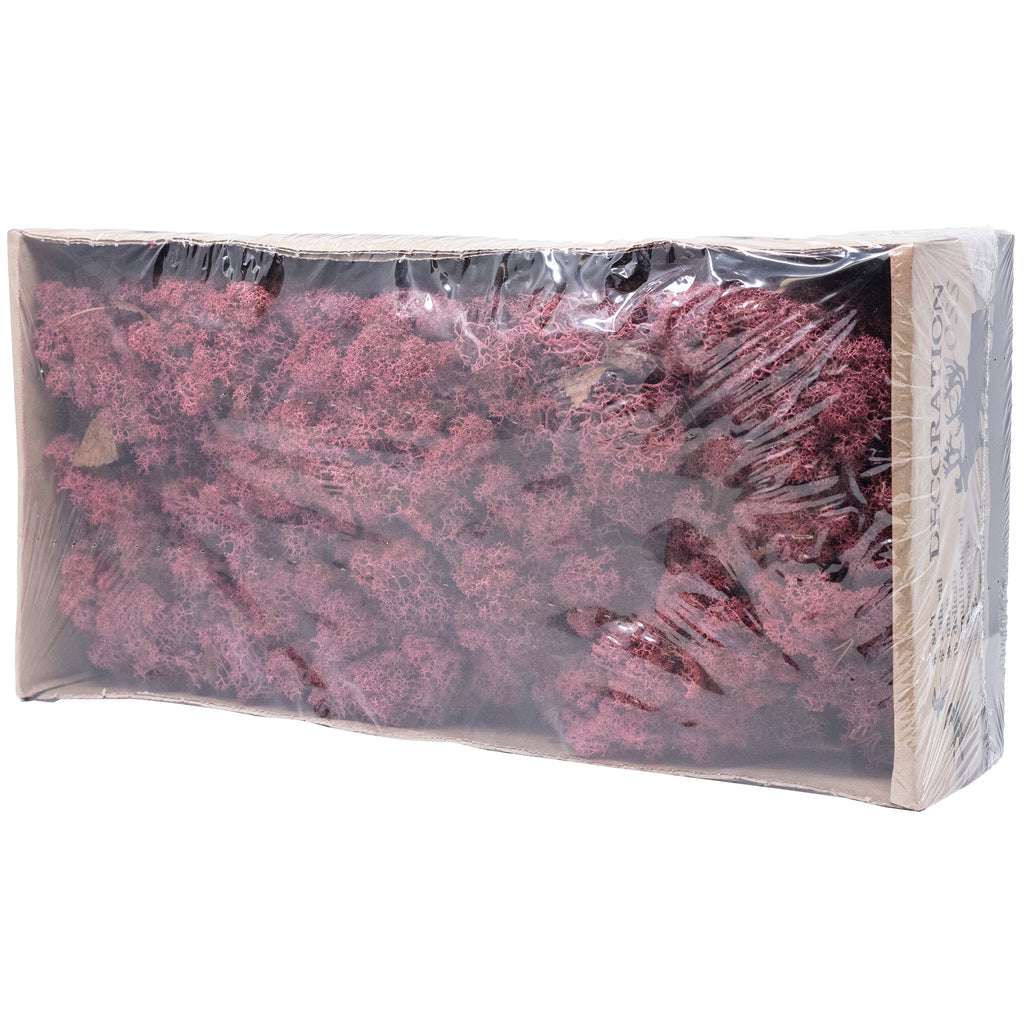 Karton Islandmoos Bordeaux-Rot - 500g