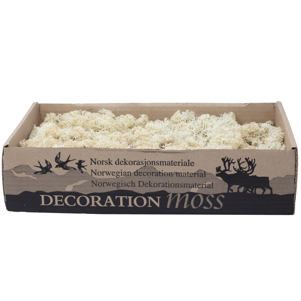 Mousse Cardboard Island blanc crème - 500 g