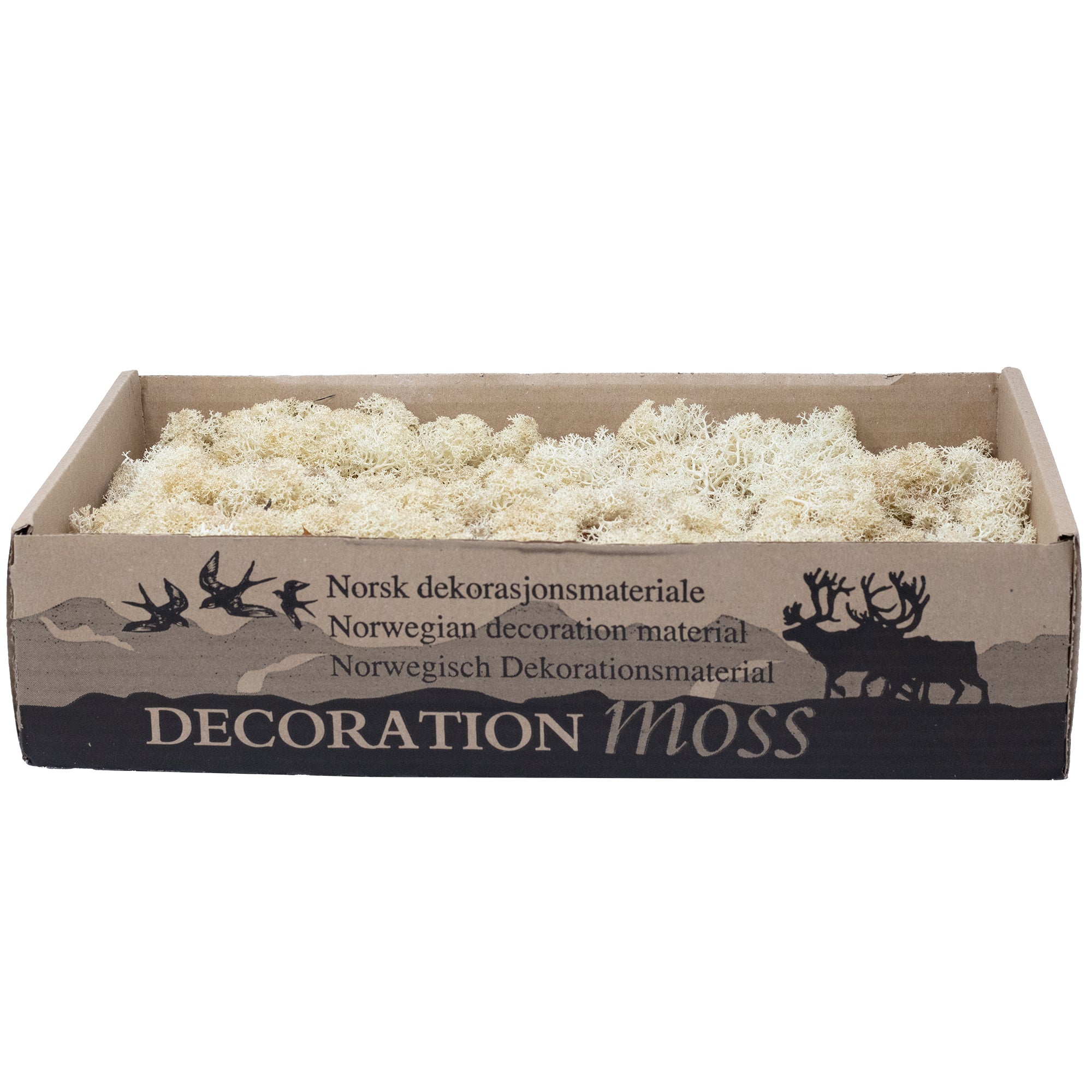 Mousse Cardboard Island blanc crème - 500 g