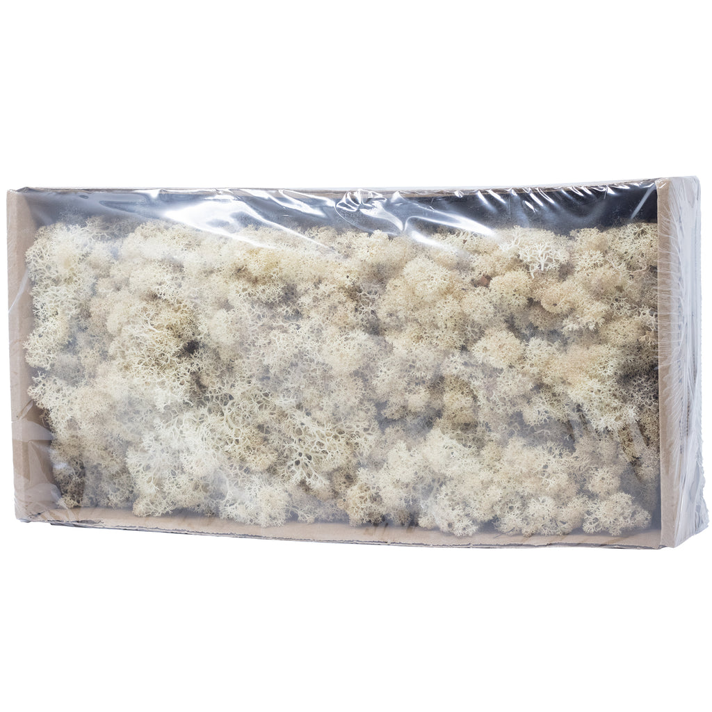 Mousse Cardboard Island blanc crème - 500 g