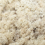 Mousse Cardboard Island blanc crème - 500 g