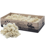Karton Islandmoos Creme-Weiß- 500g