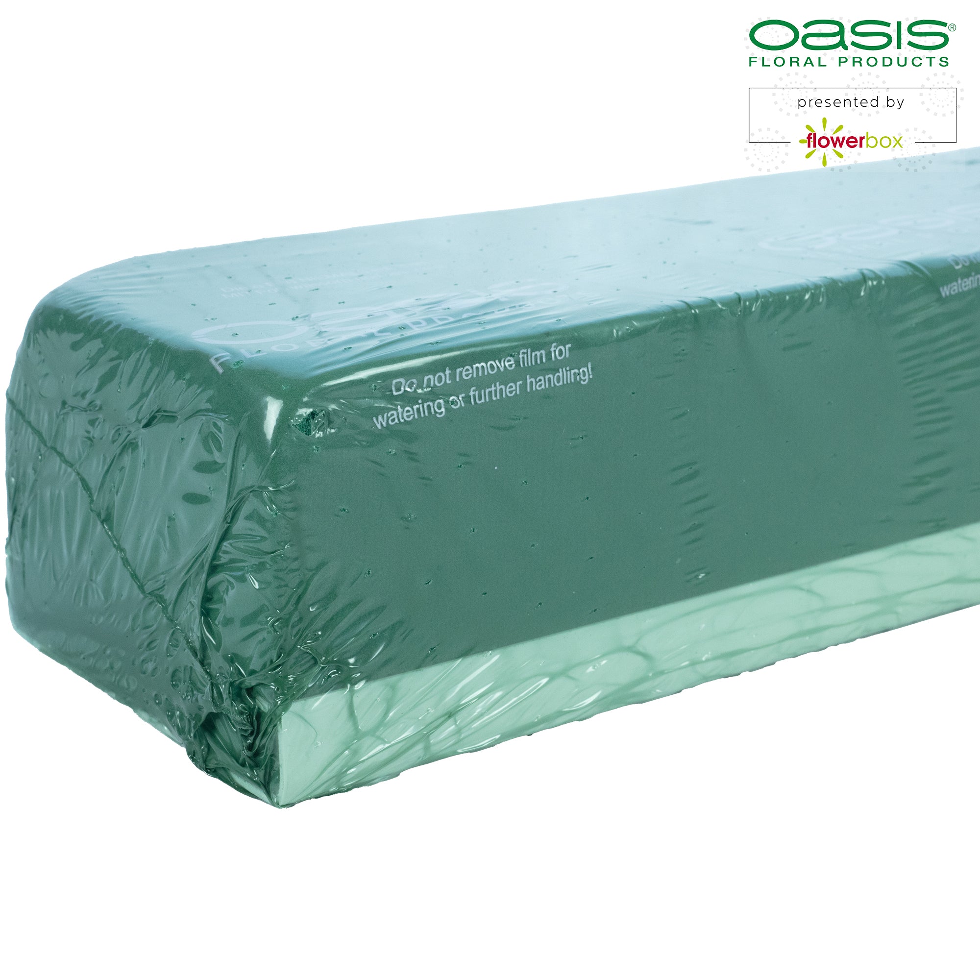 Raquette OASIS® - 44 x 11,5 x 8 cm
