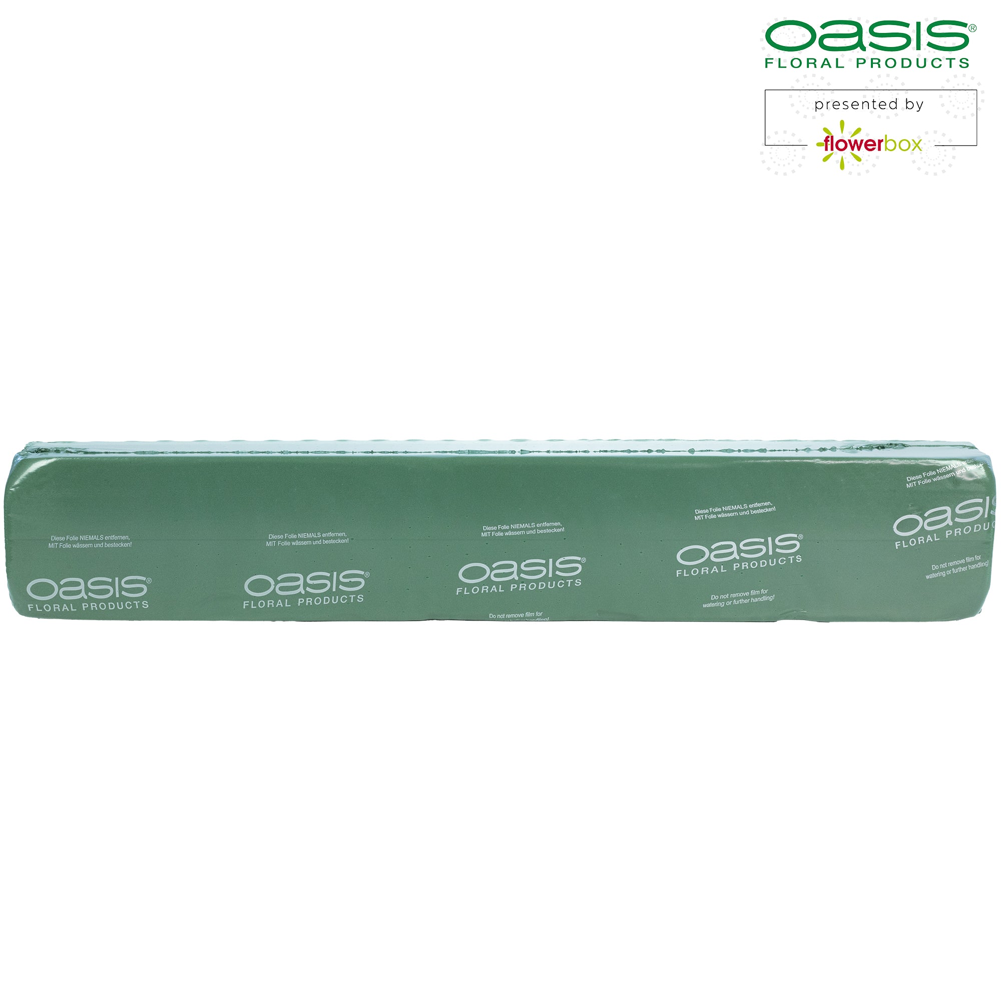 OASIS® Raquette - 66 x 11,5 x 8 cm