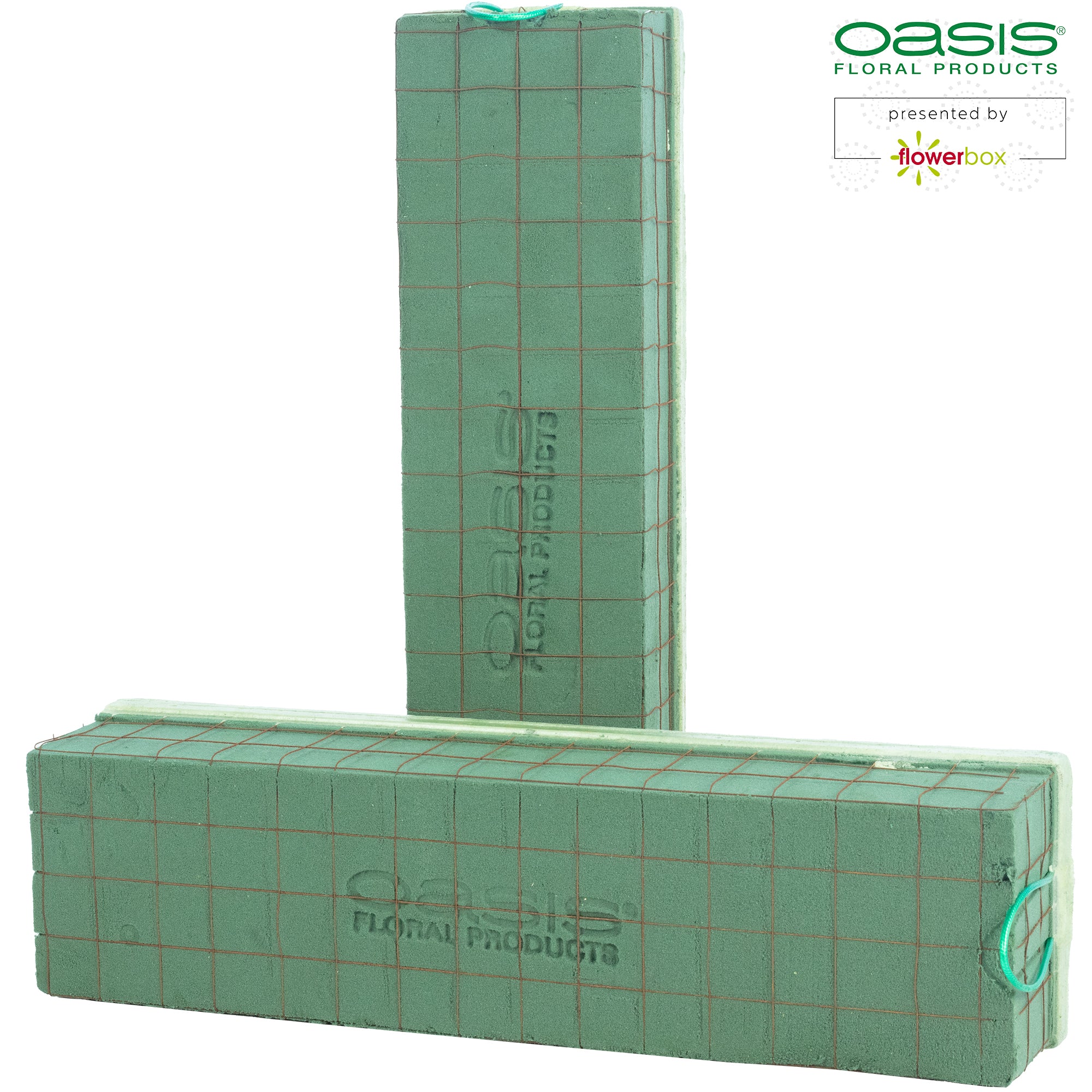 Raquette OASIS® ECObase® - 41 x 11 x 8,5 cm - 2 pièces