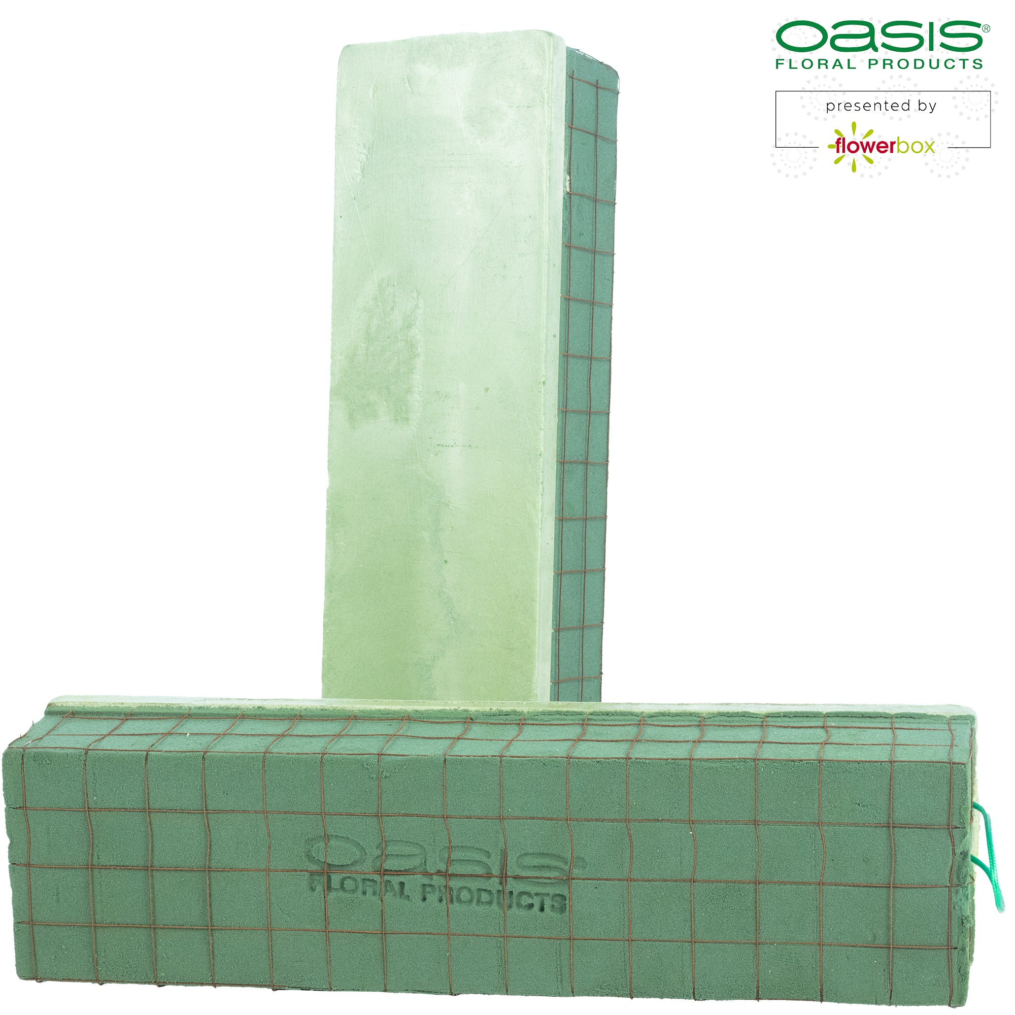 Raquette OASIS® ECObase® - 41 x 11 x 8,5 cm - 2 pièces