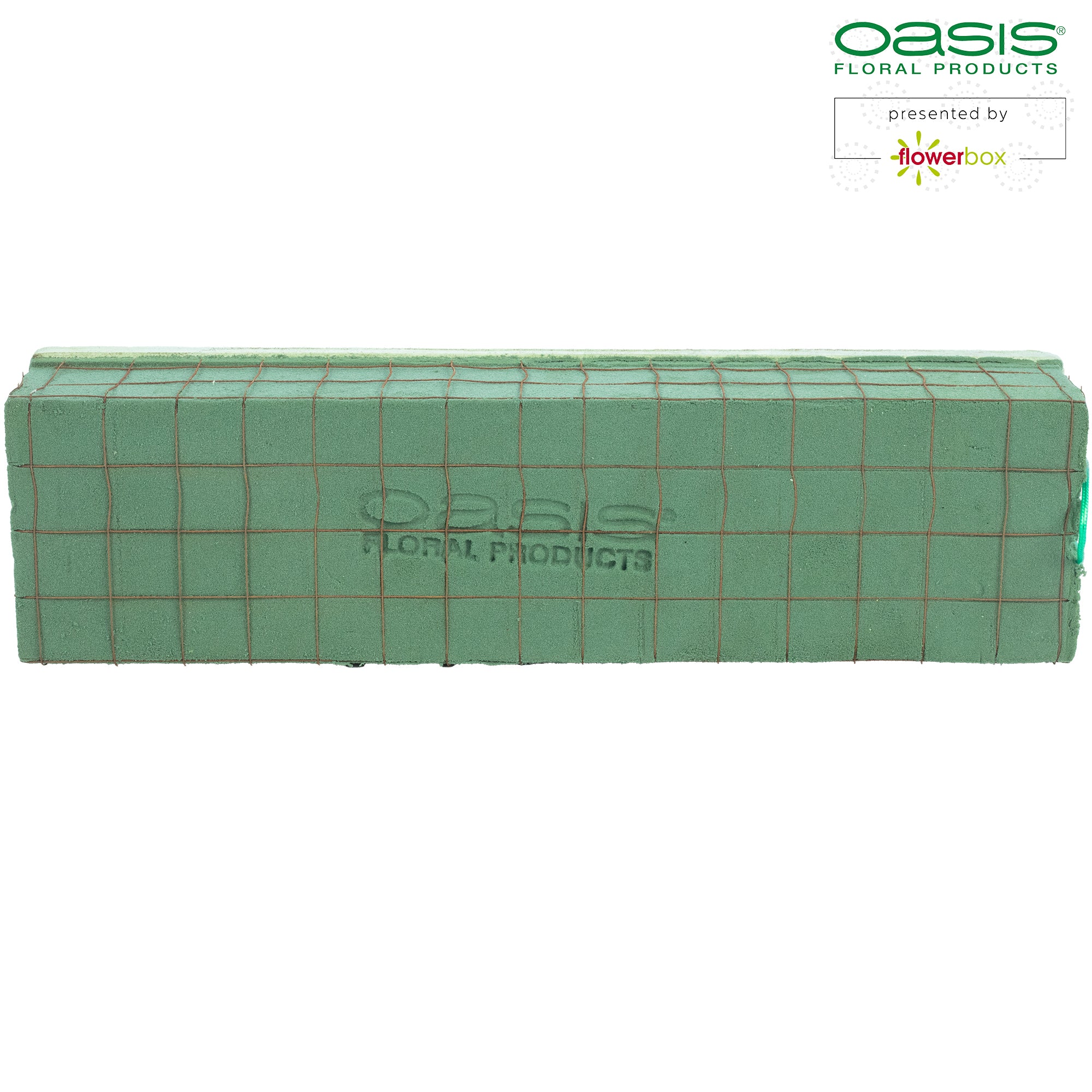 Raquette OASIS® ECObase® - 41 x 11 x 8,5 cm - 2 pièces