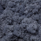 Karton Islandmoos Schwarz - 500g