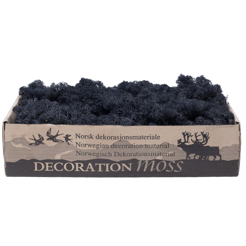 Mousse noire Cardboard Island - 500 g