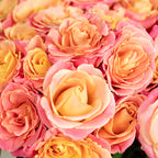 Blumenstrauß 'Miss Elegance' - Länge ca. 50 cm - Strauß frischer Rosen