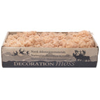 Karton Islandmoos Apricot - 500g