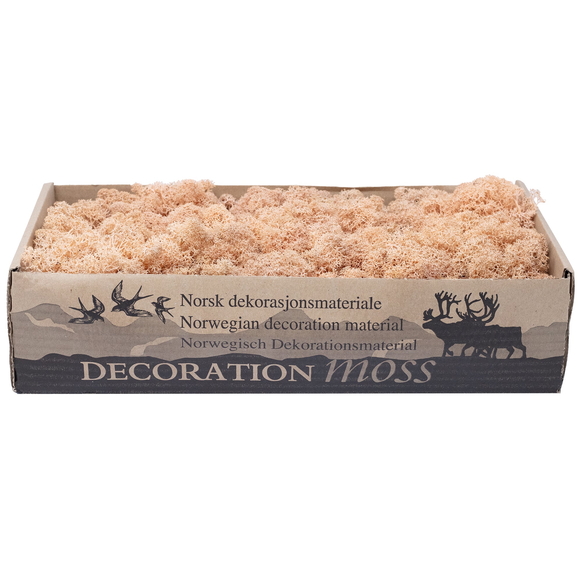 Karton Islandmoos Apricot - 500g