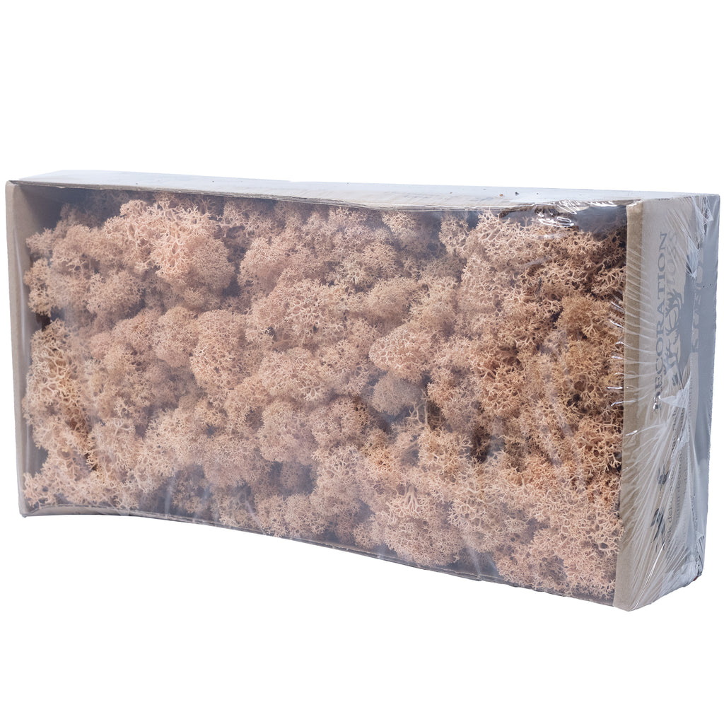 Boîte de mousse de renne à l'abricot - 500 g