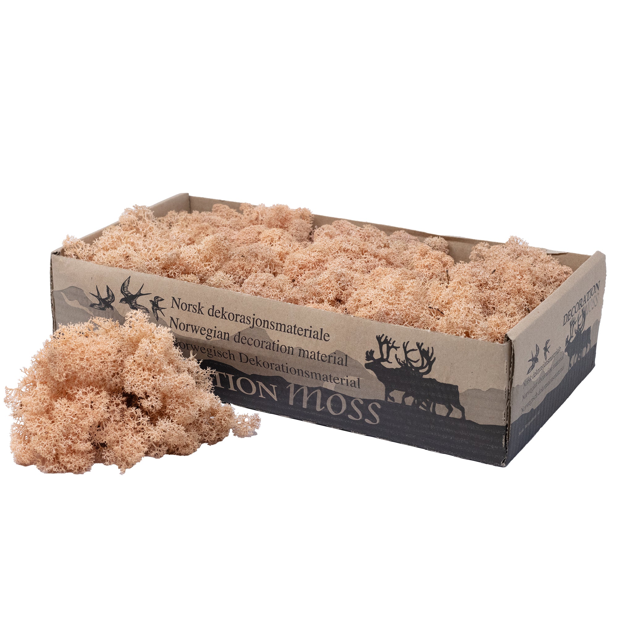 Boîte de mousse de renne à l'abricot - 500 g